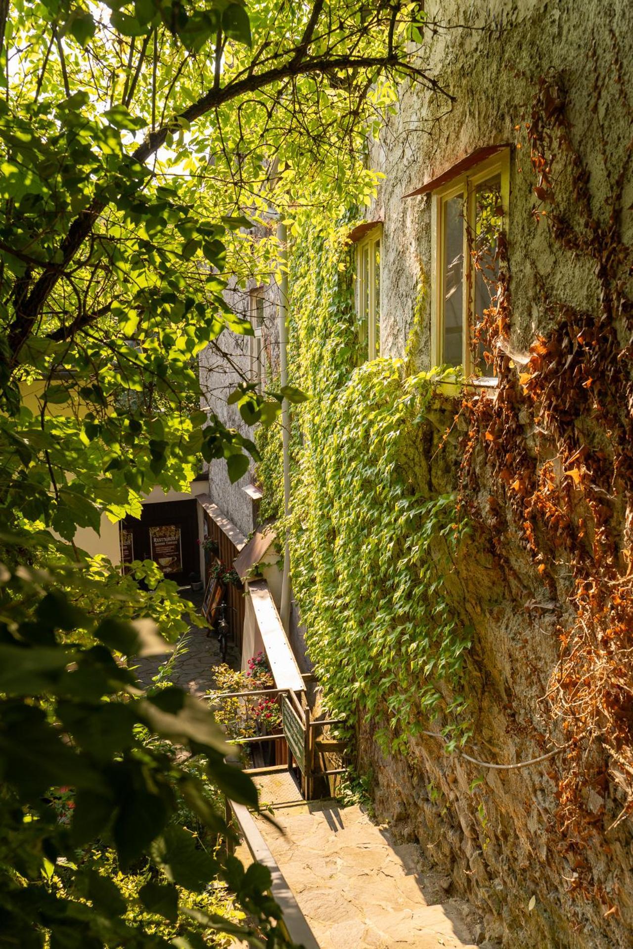Penzion Prijemny Oddych Banská Štiavnica Екстериор снимка