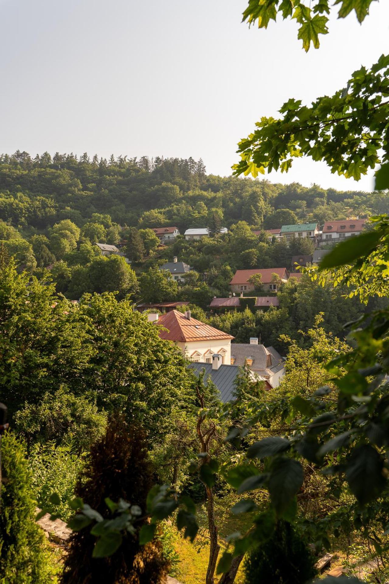 Penzion Prijemny Oddych Banská Štiavnica Екстериор снимка